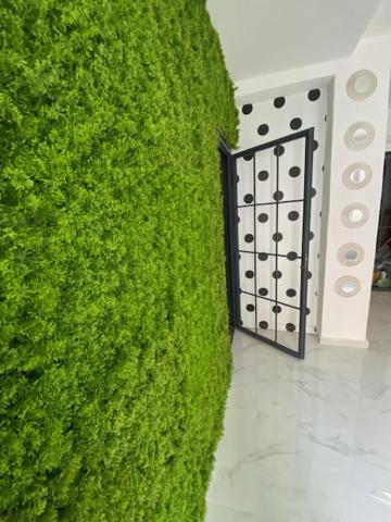 טראסיני Suite 43 מראה חיצוני תמונה